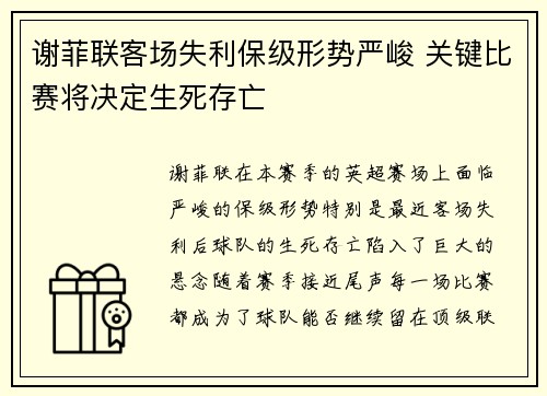 谢菲联客场失利保级形势严峻 关键比赛将决定生死存亡